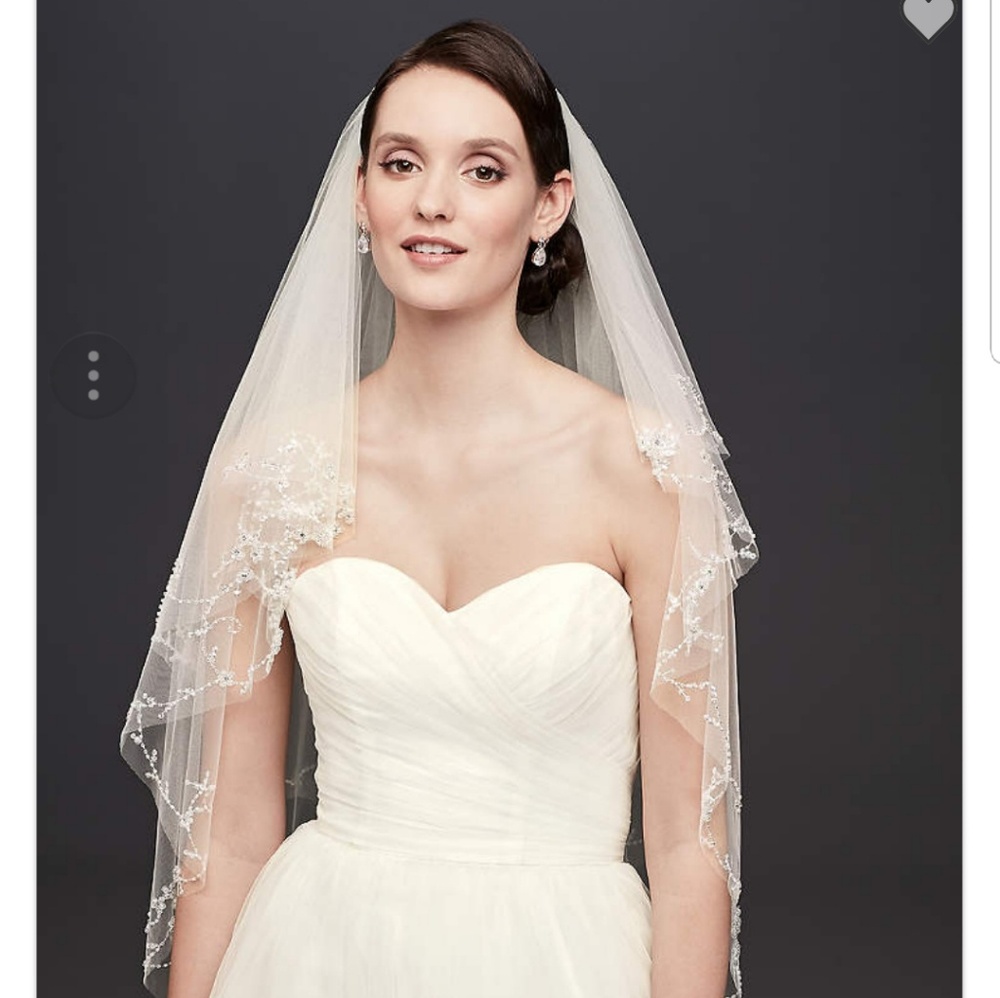 David's Bridal Veil 👰